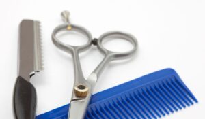 Senior Home Hair Care Halifax