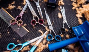 In-Home Senior Hairdresser Halifax