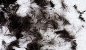Calgary Senior Hairstyling Services